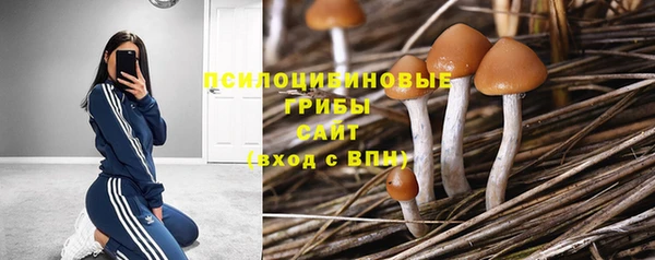 mdpv Зеленодольск