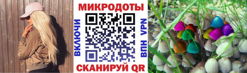 магазин продажи   Пучеж  гидра ссылки  Галлюциногенные грибы ЛСД 